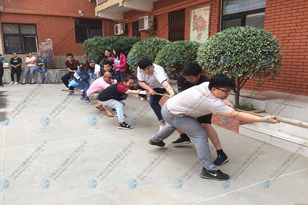 企業(yè)活動(dòng)展示